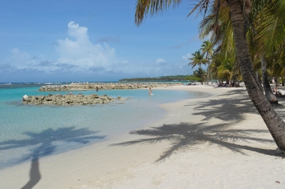 Strand auf Guadeloupe (Alexander Mirschel) Copyright
Informazioni sulla licenza disponibili sotto 'Prova delle fonti di immagine'